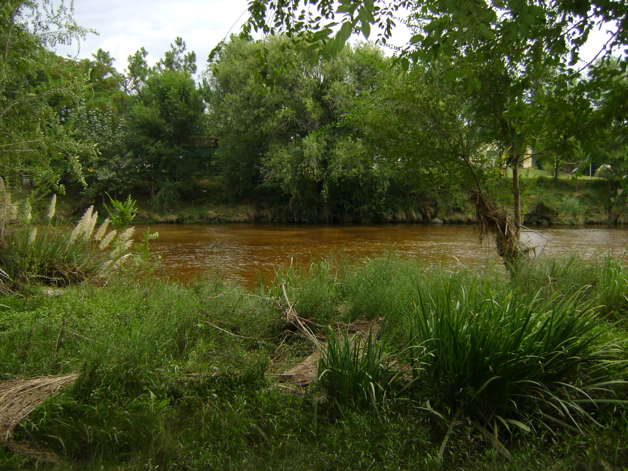 fotos/2011 - Los Reartes/DSC03241.JPG